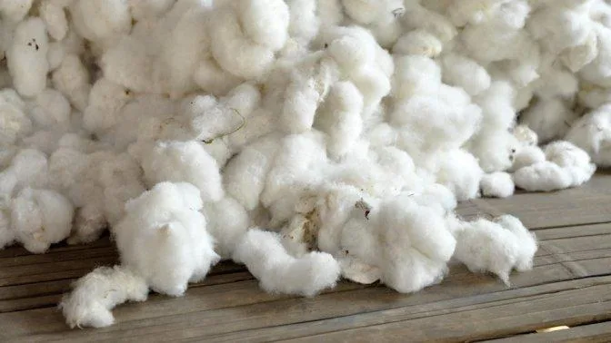 Pengertian Serat / Fiber