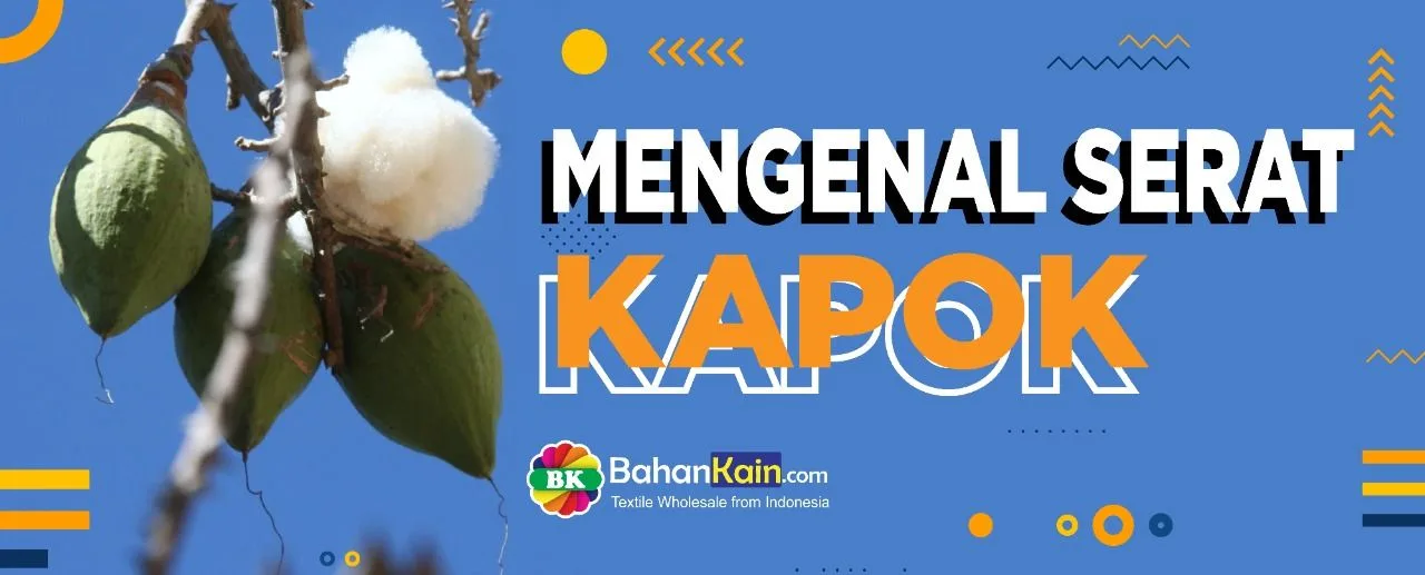 Mengenal Serat Kapuk