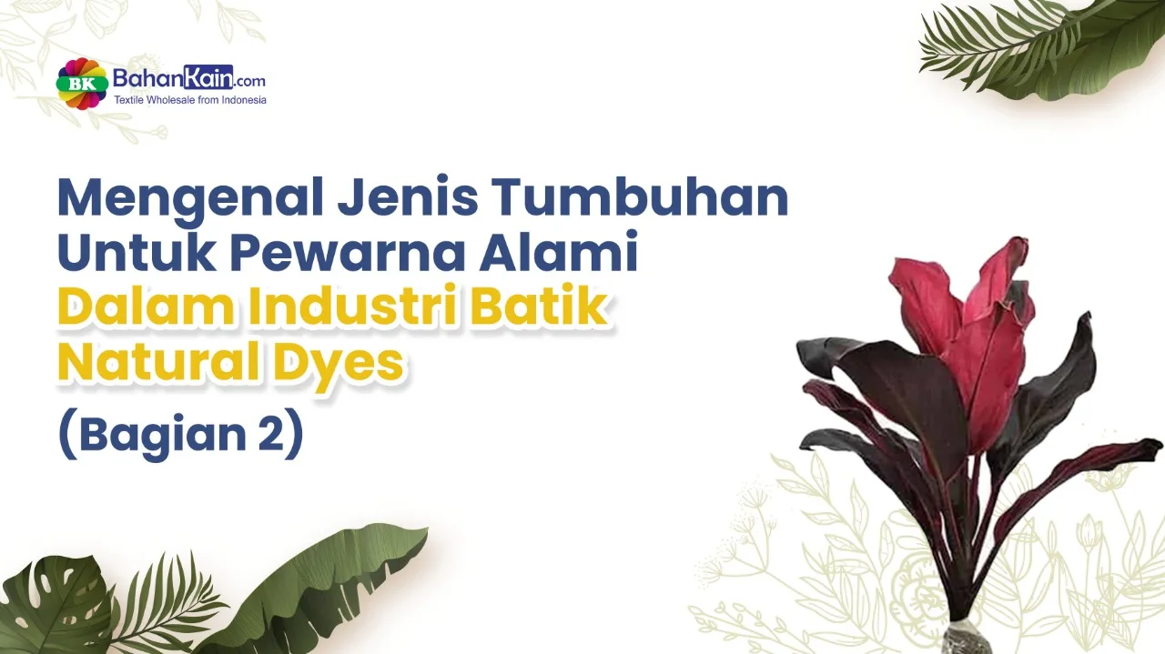 Mengenal Jenis Tumbuhan Untuk Pewarna Alami Dalam Industri Batik Natural Dyes (Bagian 2)