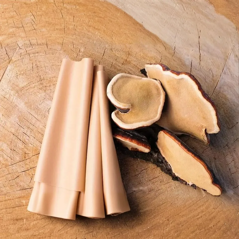 Mushroom Leather, Inovasi Kulit Vegan yang Ramah Hewan dan Lingkungan