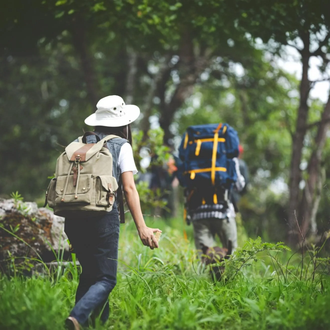 Perbedaan Hiking dan Trekking: Definisi, Durasi, Serta Tingkat Kesulitan
